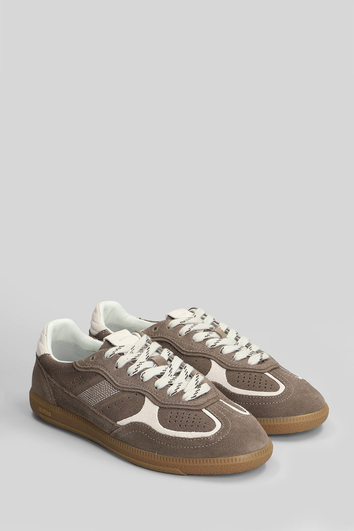 Tb.490 Sneakers in taupe suede Scarpe