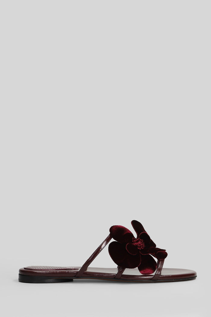 Flats in bordeaux leather Scarpe