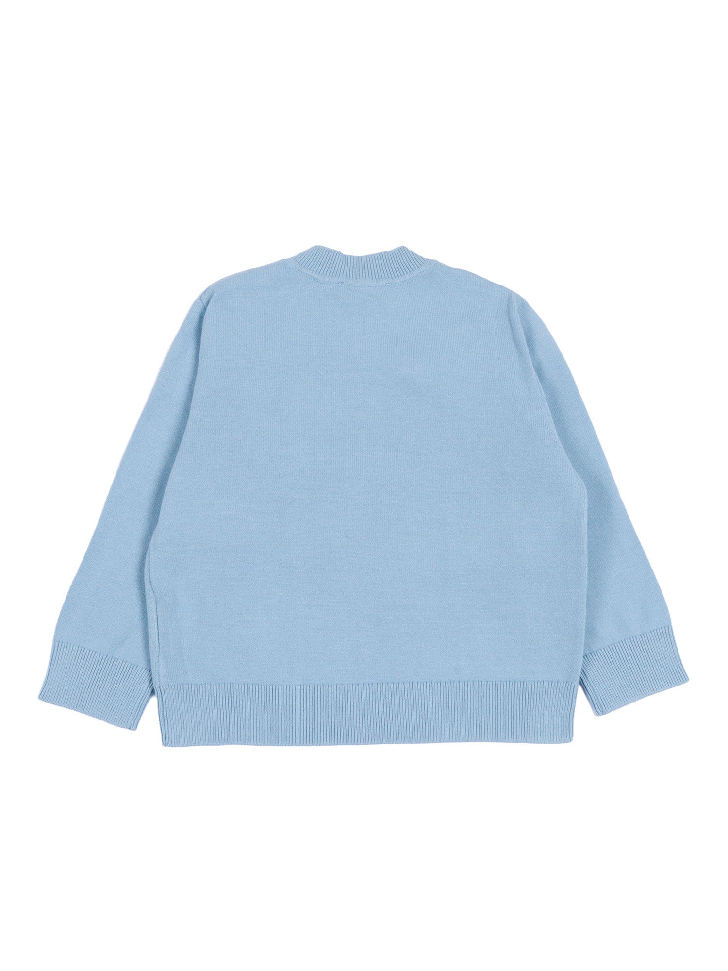 Jumper Light Blue Cotton Crewneck