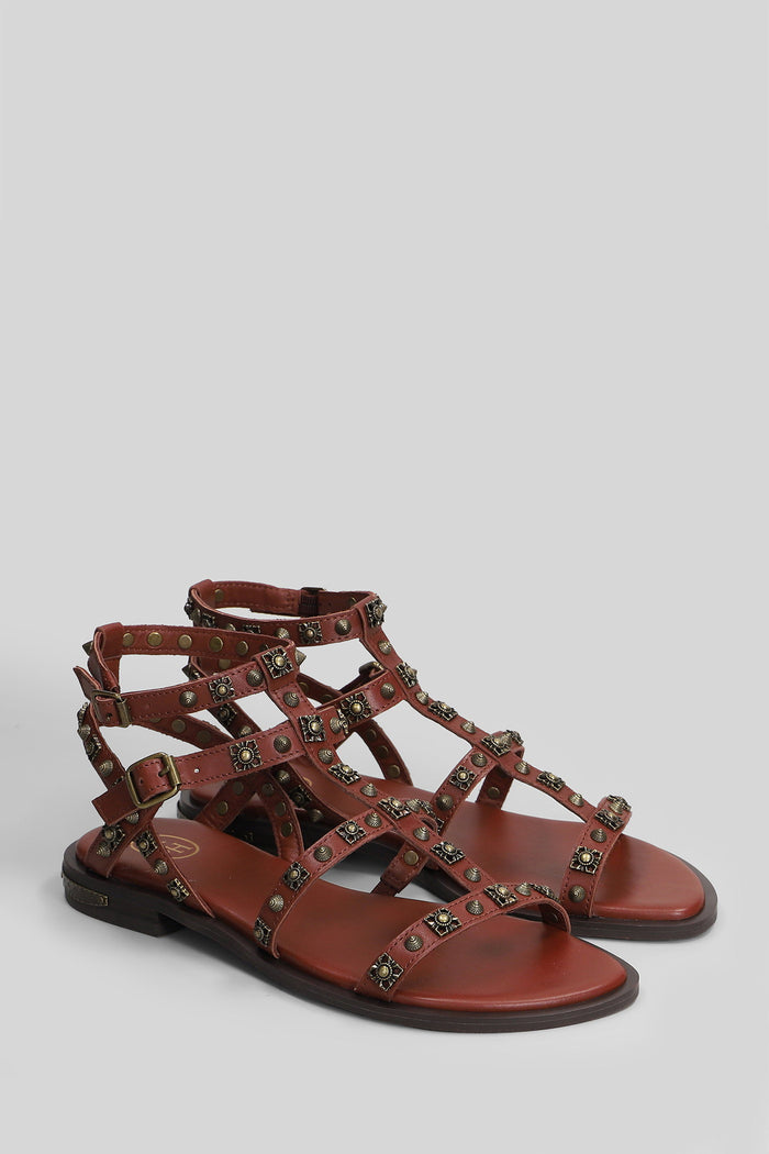 Pacha Flats Bordeaux Leather Scarpe