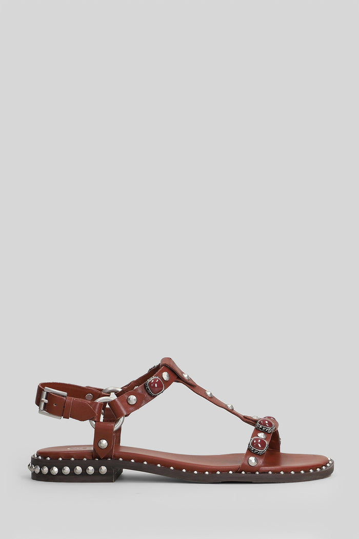 Podium Flats Bordeaux Leather Scarpe