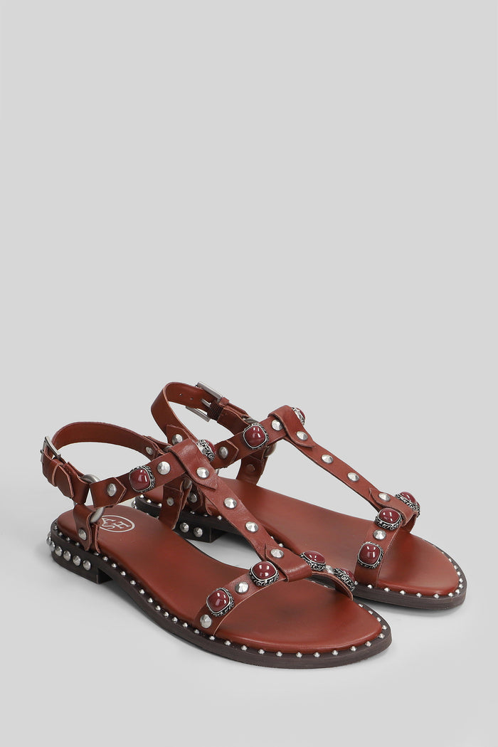 Podium Flats Bordeaux Leather Scarpe