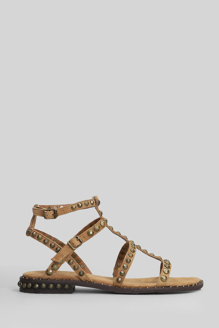 Precious Flats Beige Suede Scarpe
