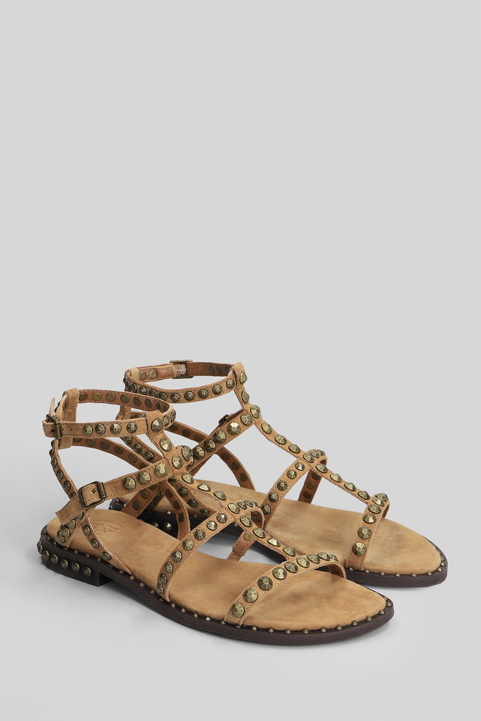 Precious Flats Beige Suede Scarpe