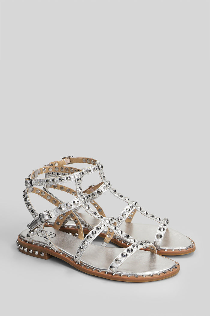 Precious Flats Silver Leather Scarpe