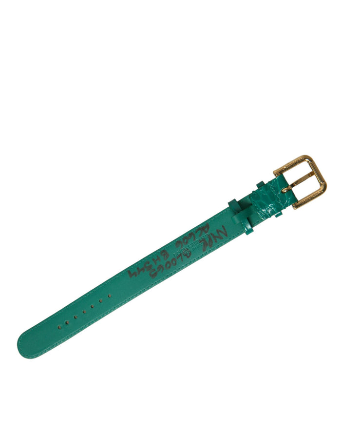 Dolce & Gabbana Leather belt in green — view 2