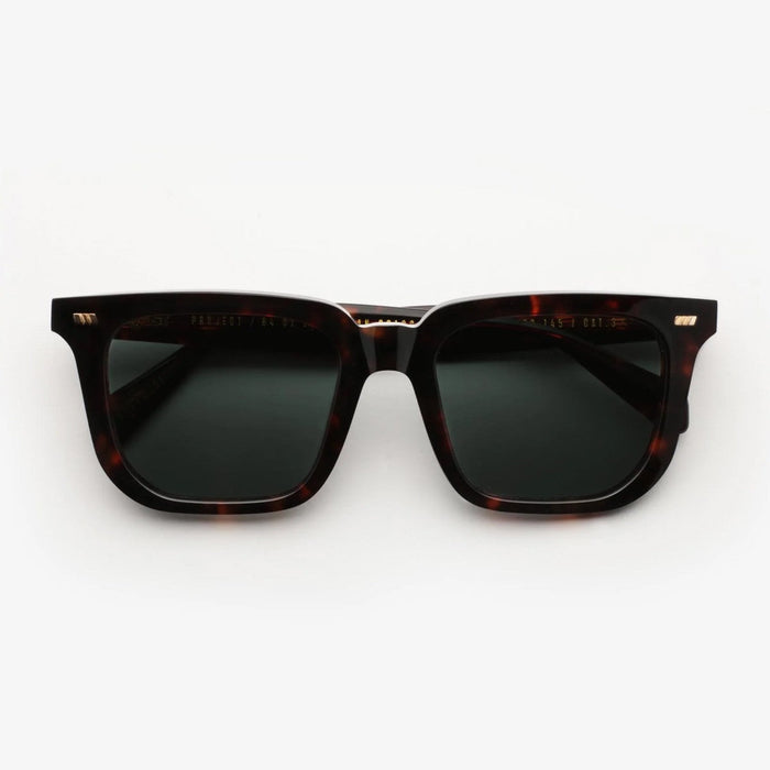 Gast Certo Crt02 Brown Acetato Sunglasses