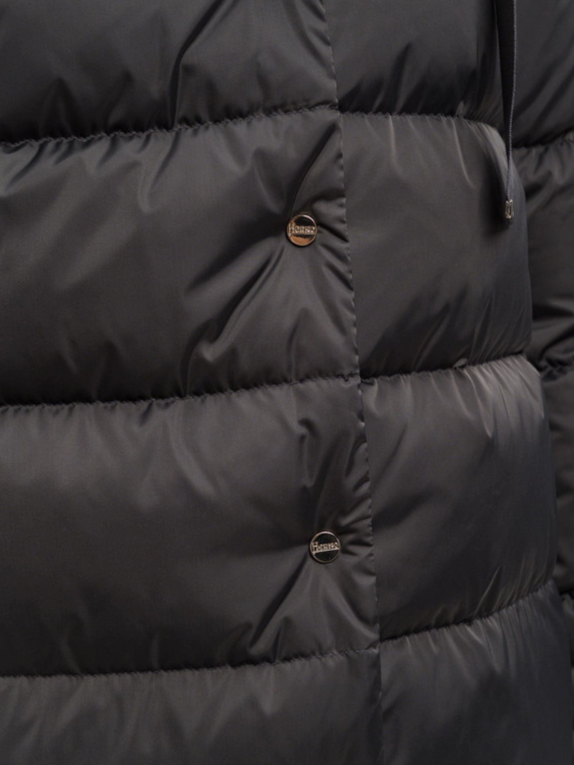 Herno Coats Grey Polyester