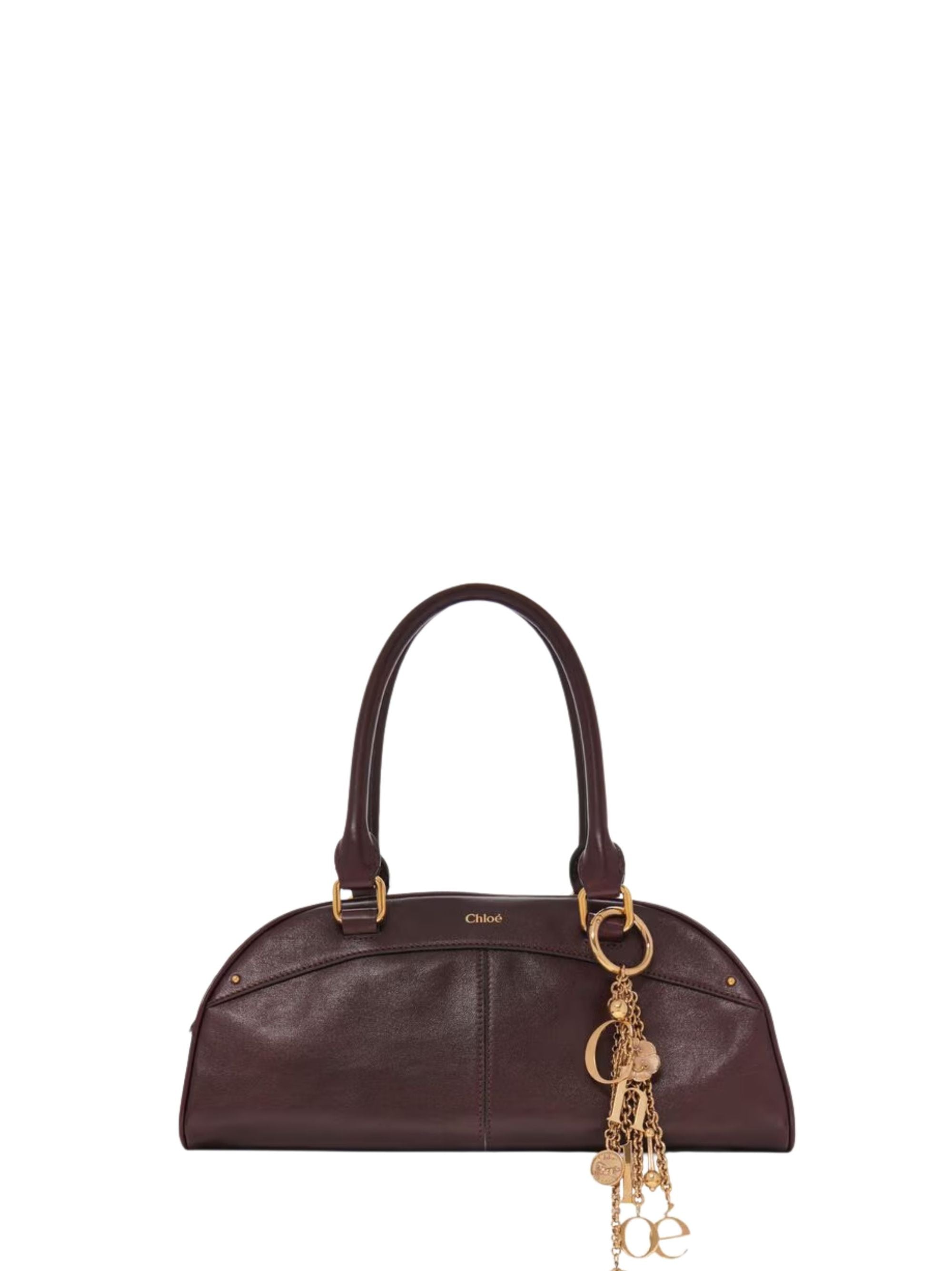 Chloè Bags Brown Cow Leather