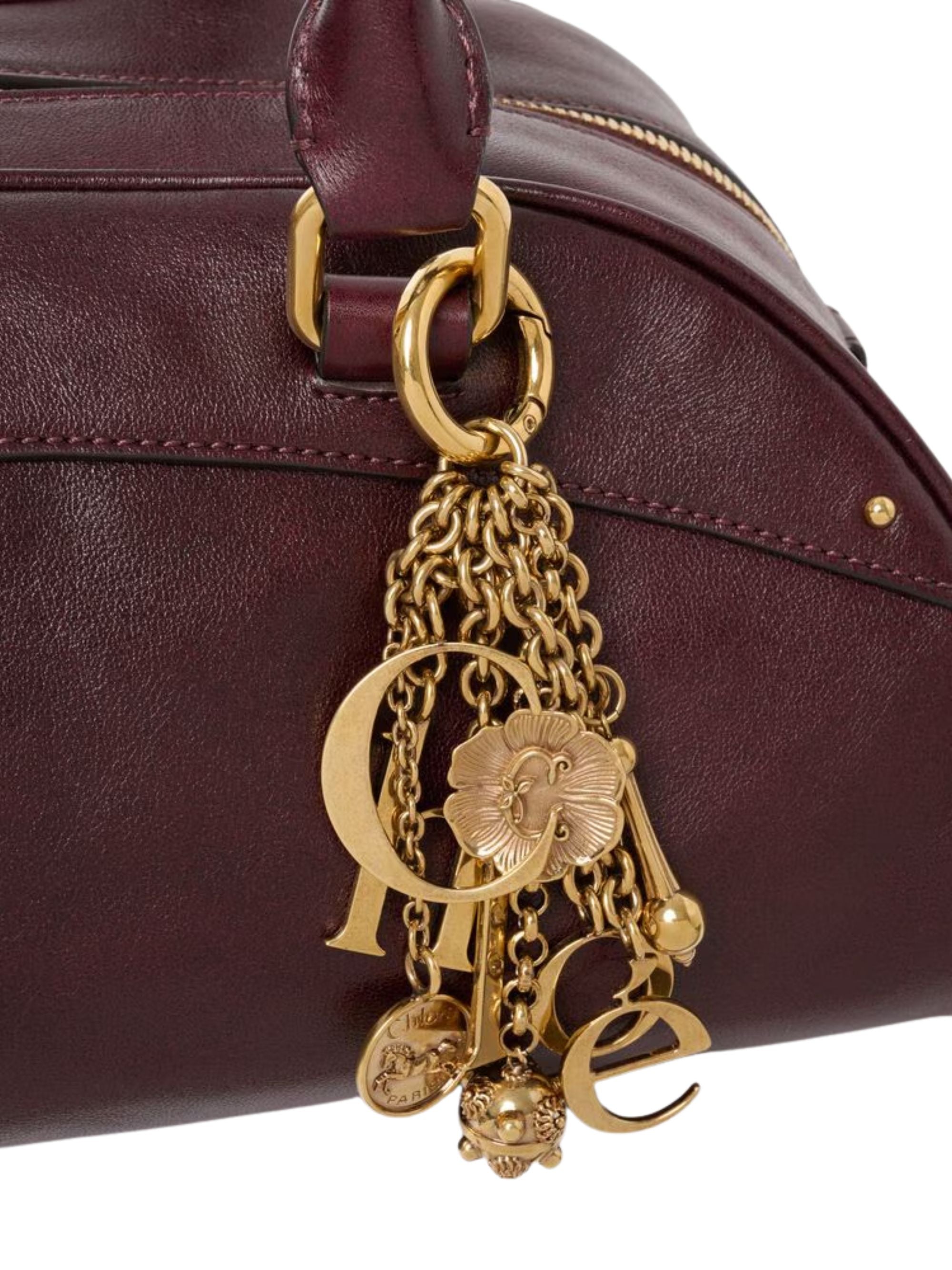 Chloè Bags Brown Cow Leather