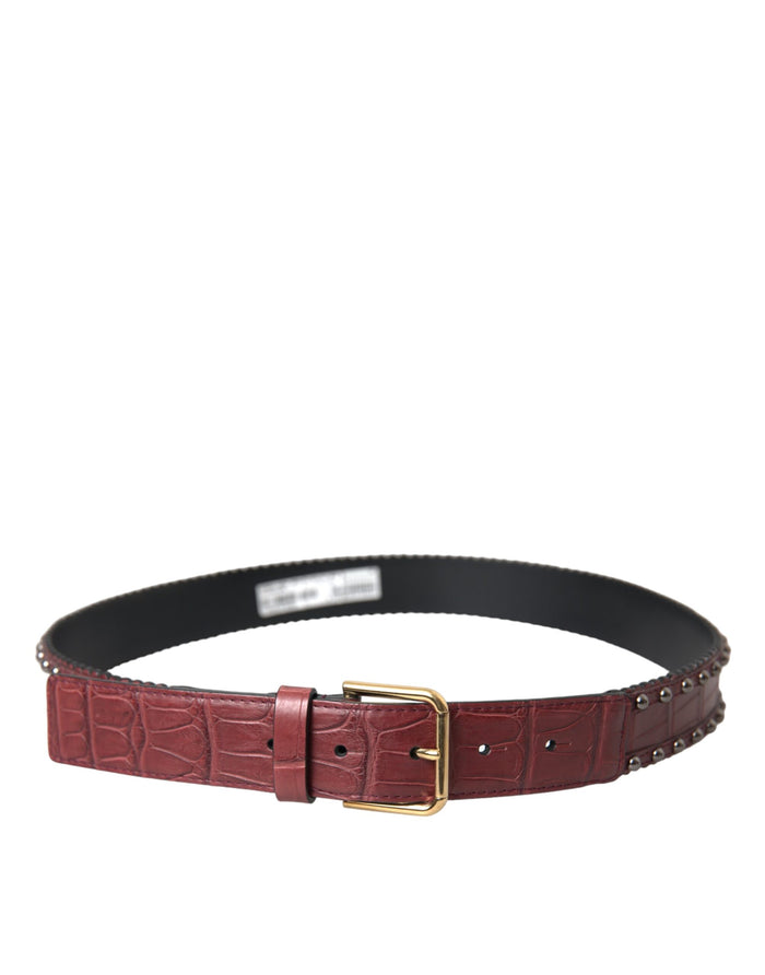 Dolce & Gabbana 100% Alligator Leather belt in brown — view 2