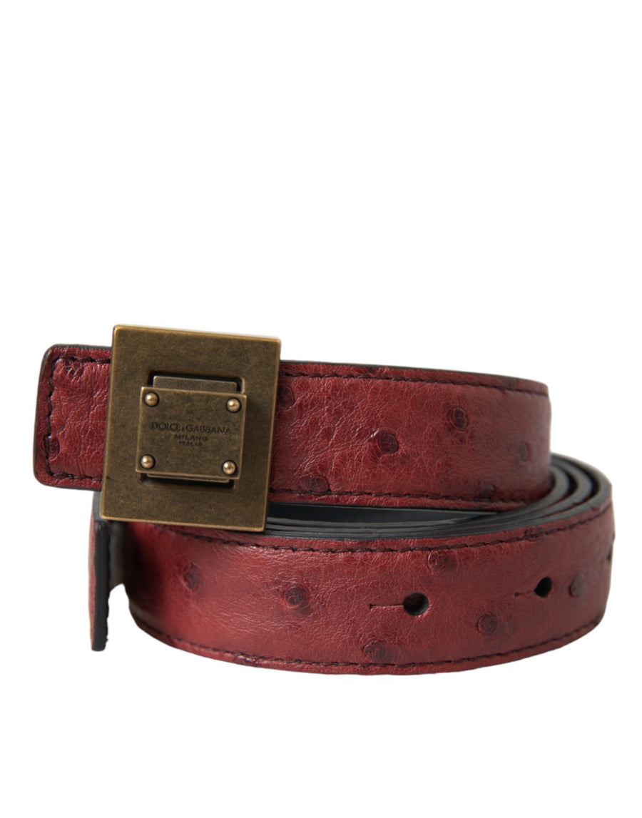 Dolce & Gabbana 100% Leather belt in brown