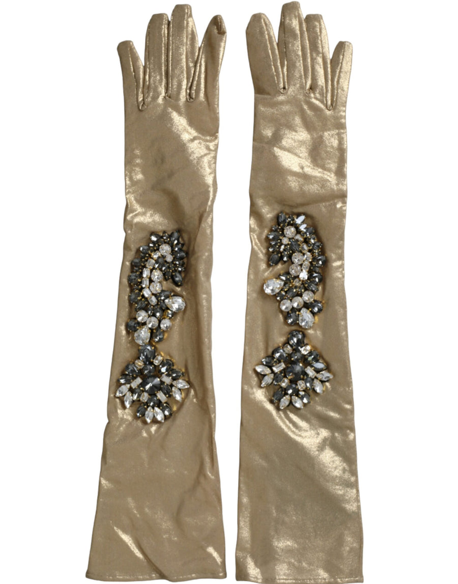 Dolce & Gabbana 98% Nylon gloves in beige