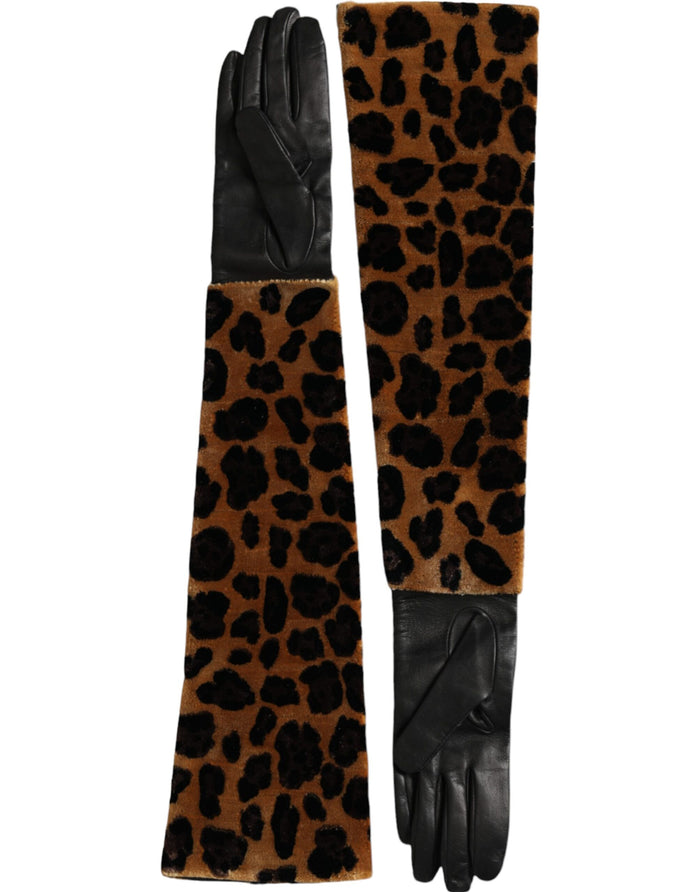 Dolce & Gabbana 50% Leather gloves in brown — view 2