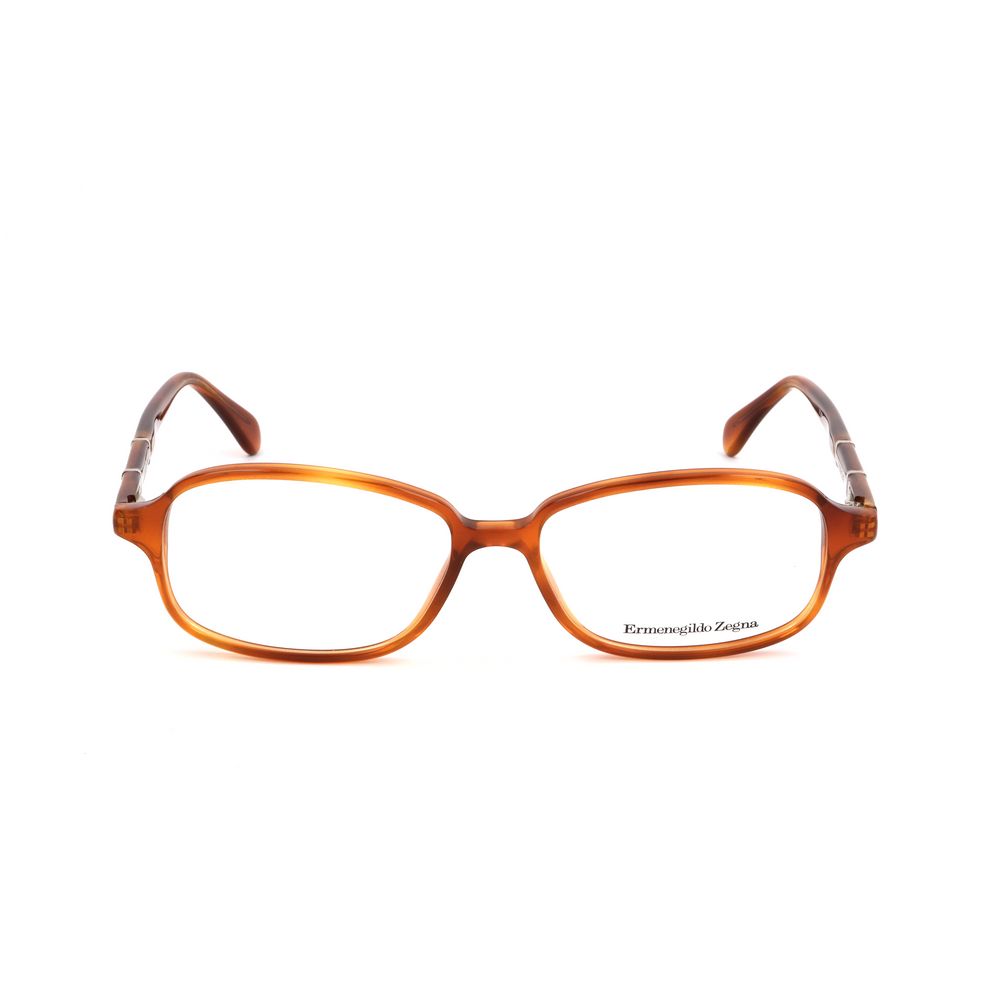 Brown Plastic Glasses (frames) Accessory
