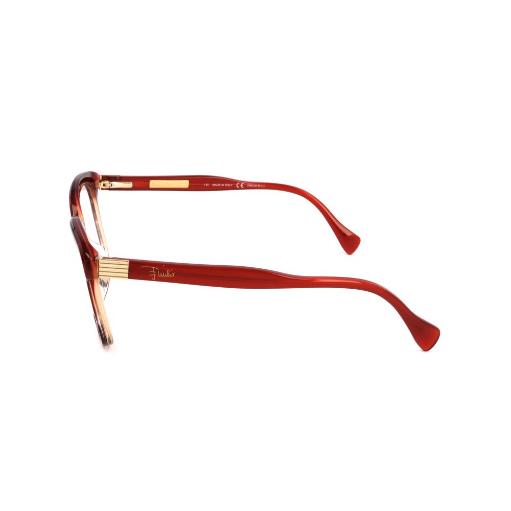 Red Plastic Glasses (frames) Accessory