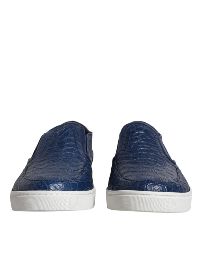Dolce & Gabbana 100% Crocodile exotic skin Leather sneaker in blue