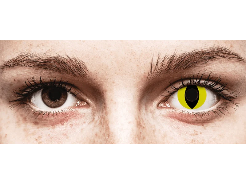Lenti A Contatto Giornaliere Halloween Black Contact Lenses