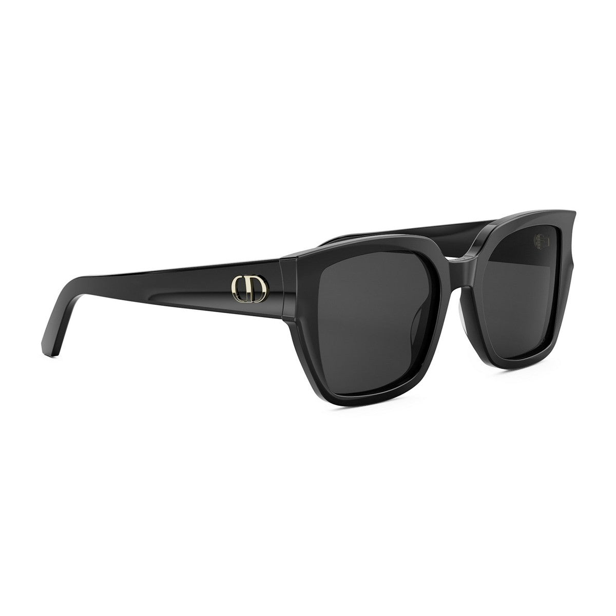 Diorglow S1i Black Acetato Sunglasses