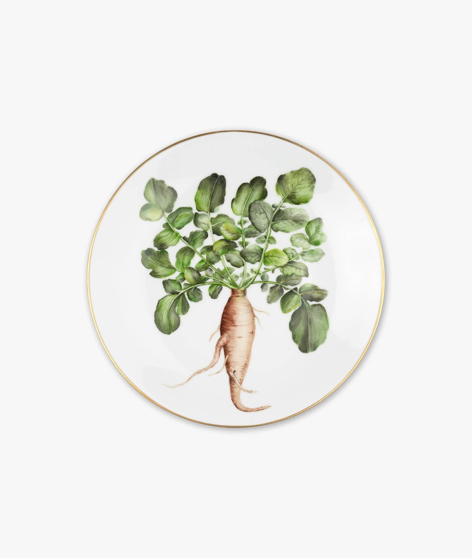 Plate Album Rapae Neutral Dishes And Charger Plates