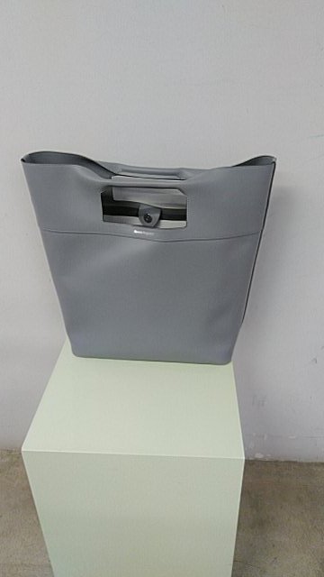 Alexander McQueen Bags Dove Grey Leather