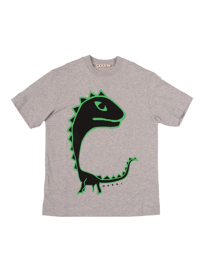 T-Shirts Grey Cotton Short Sleeves T-shirt