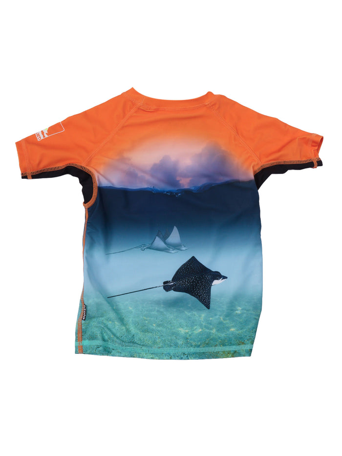 Neptune T-Shirts & Tops Light Blue Short Sleeves T-shirt