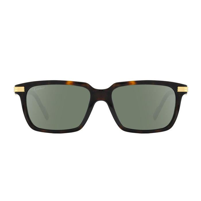 CT0220S Marrone Celluloid Occhiali Sole