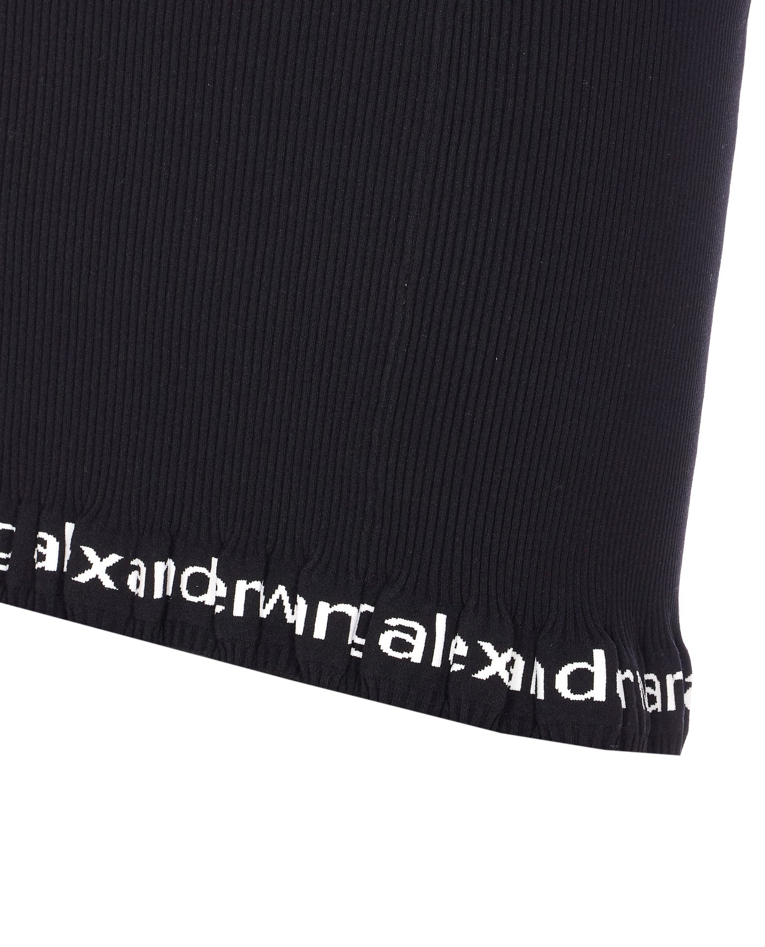 Alexander Wang Skirts Black Polyamide