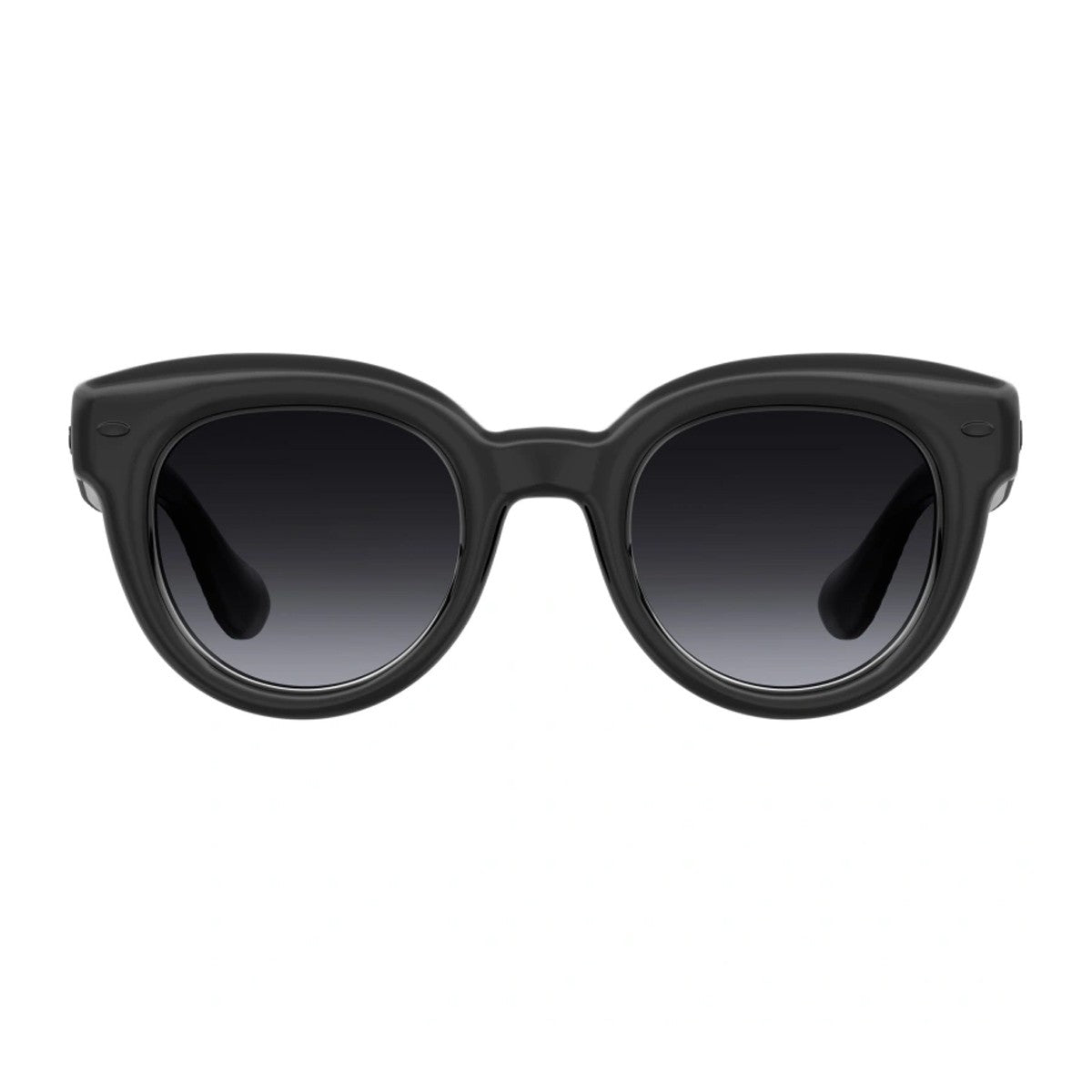 Havaianas Ilheus Black Propionato Sunglasses