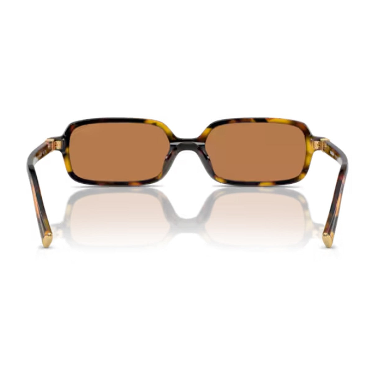 Miu 0mu 11zs Regard Havana Acetato Sunglasses
