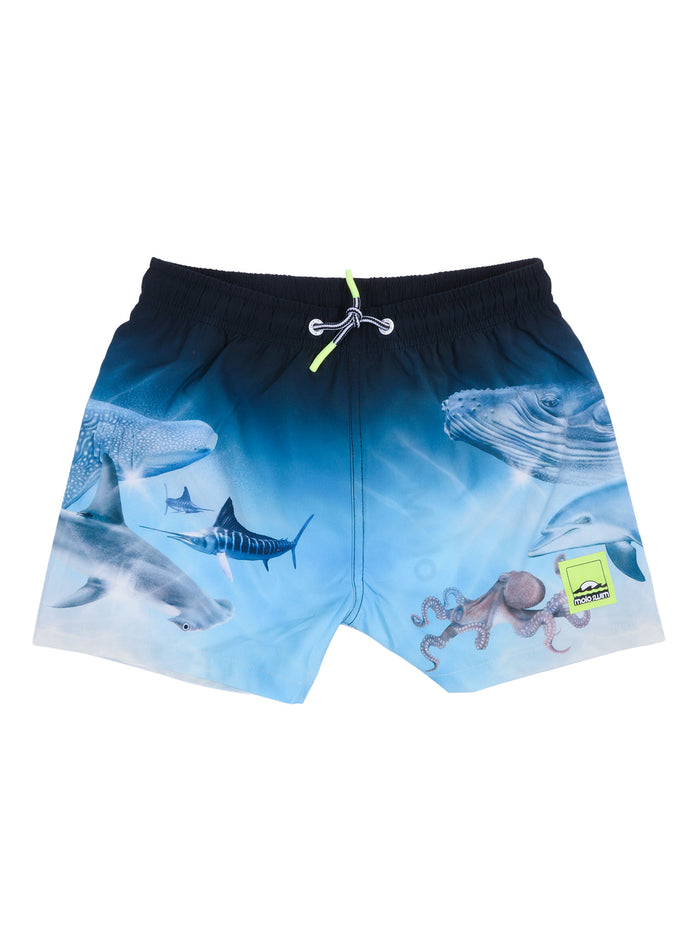 Niko Boardies Blue Costume