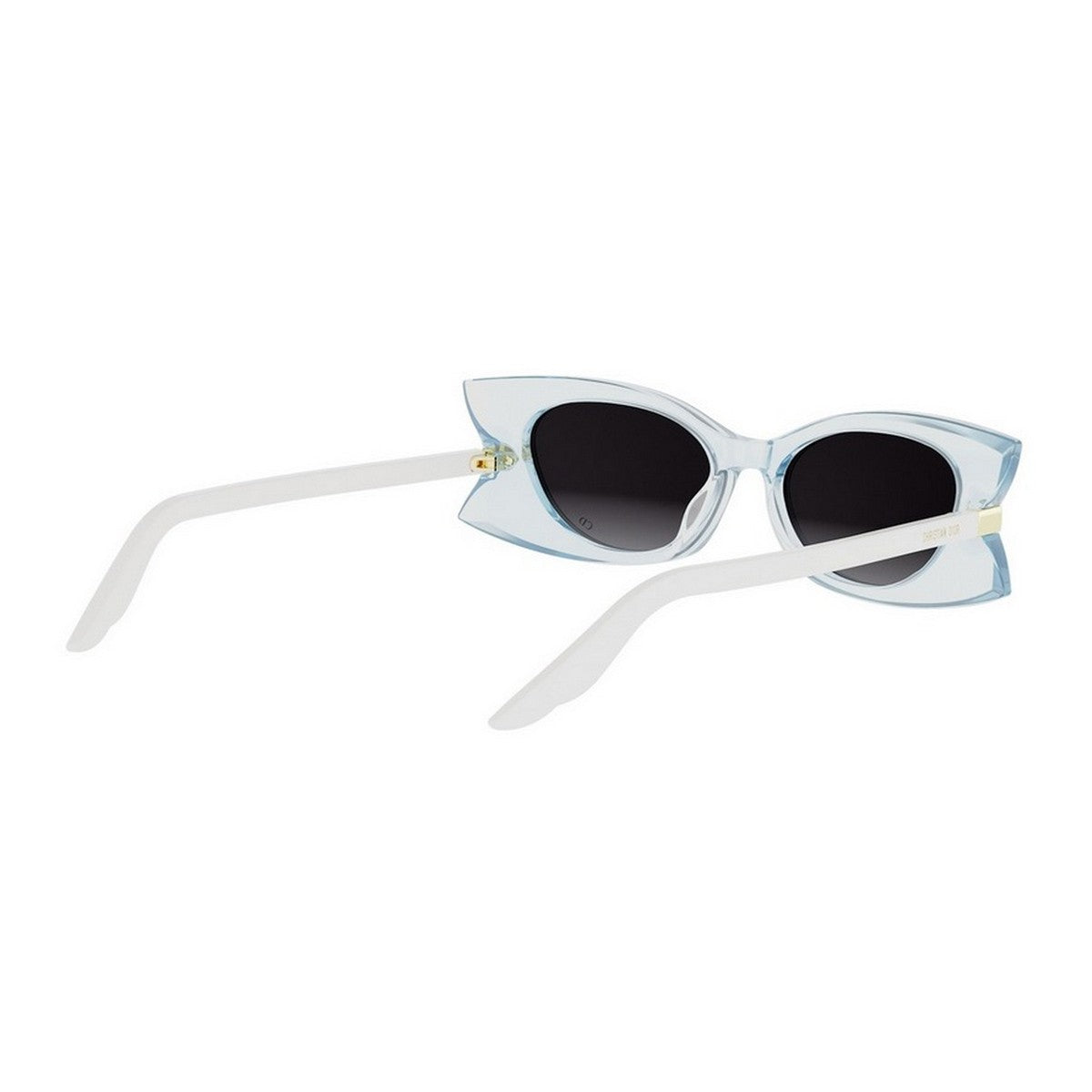 Diorbutterfly S2i Transparent Acetato Sunglasses