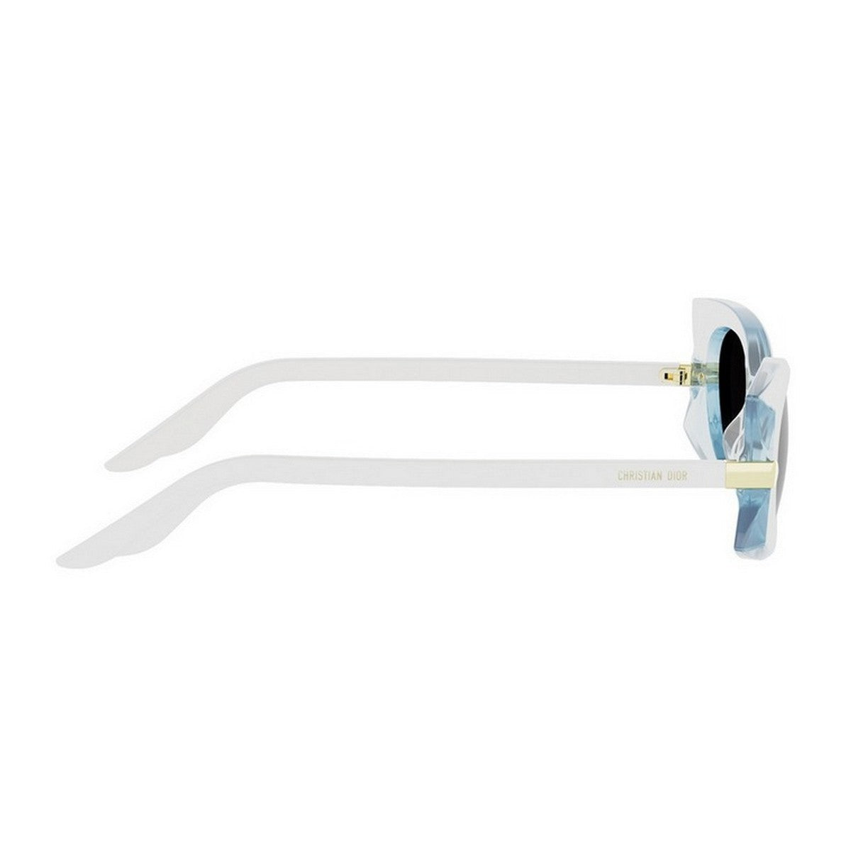 Diorbutterfly S2i Transparent Acetato Sunglasses