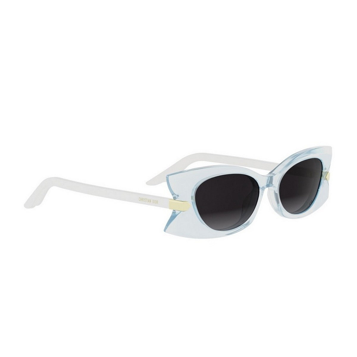 Diorbutterfly S2i Transparent Acetato Sunglasses