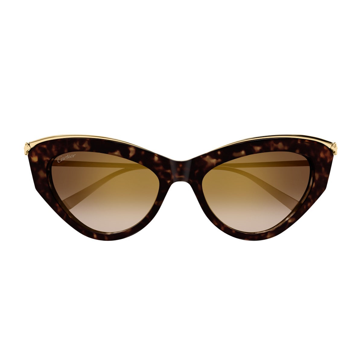 Cartier Ct0596s Panthere De Havana Acetato Riciclato/ Metallo Sunglasses