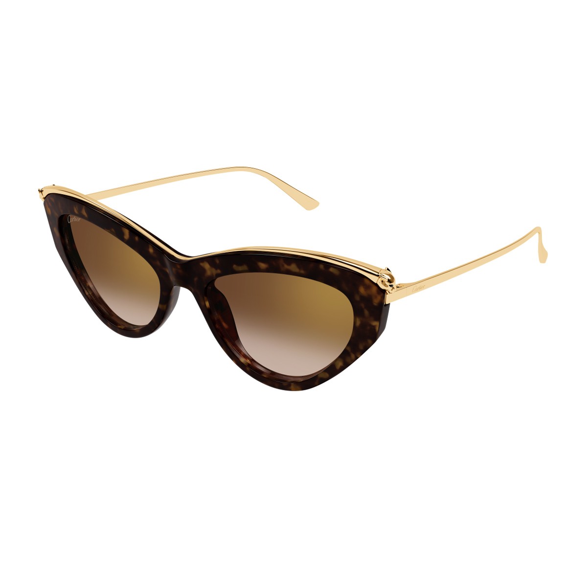 Cartier Ct0596s Panthere De Havana Acetato Riciclato/ Metallo Sunglasses