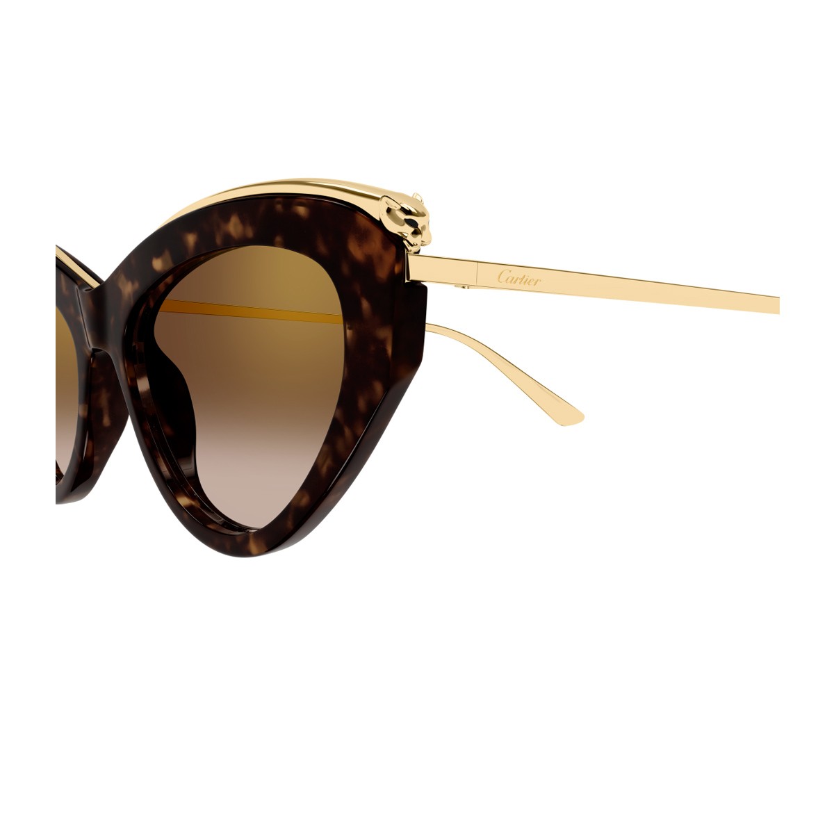 Cartier Ct0596s Panthere De Havana Acetato Riciclato/ Metallo Sunglasses