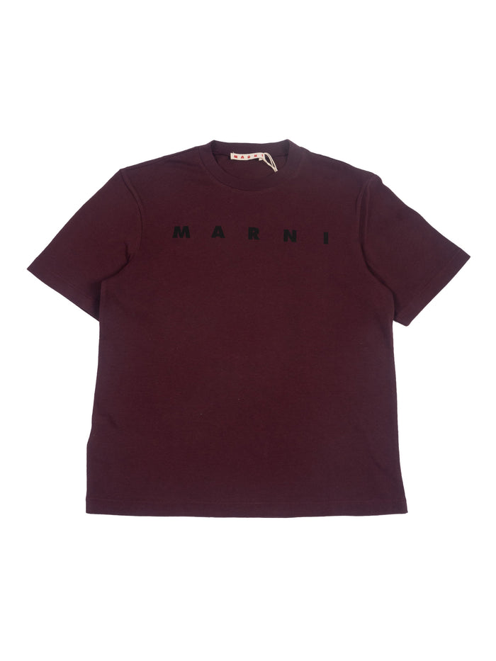 T-shirts Brown Cotton Short Sleeves T-shirt