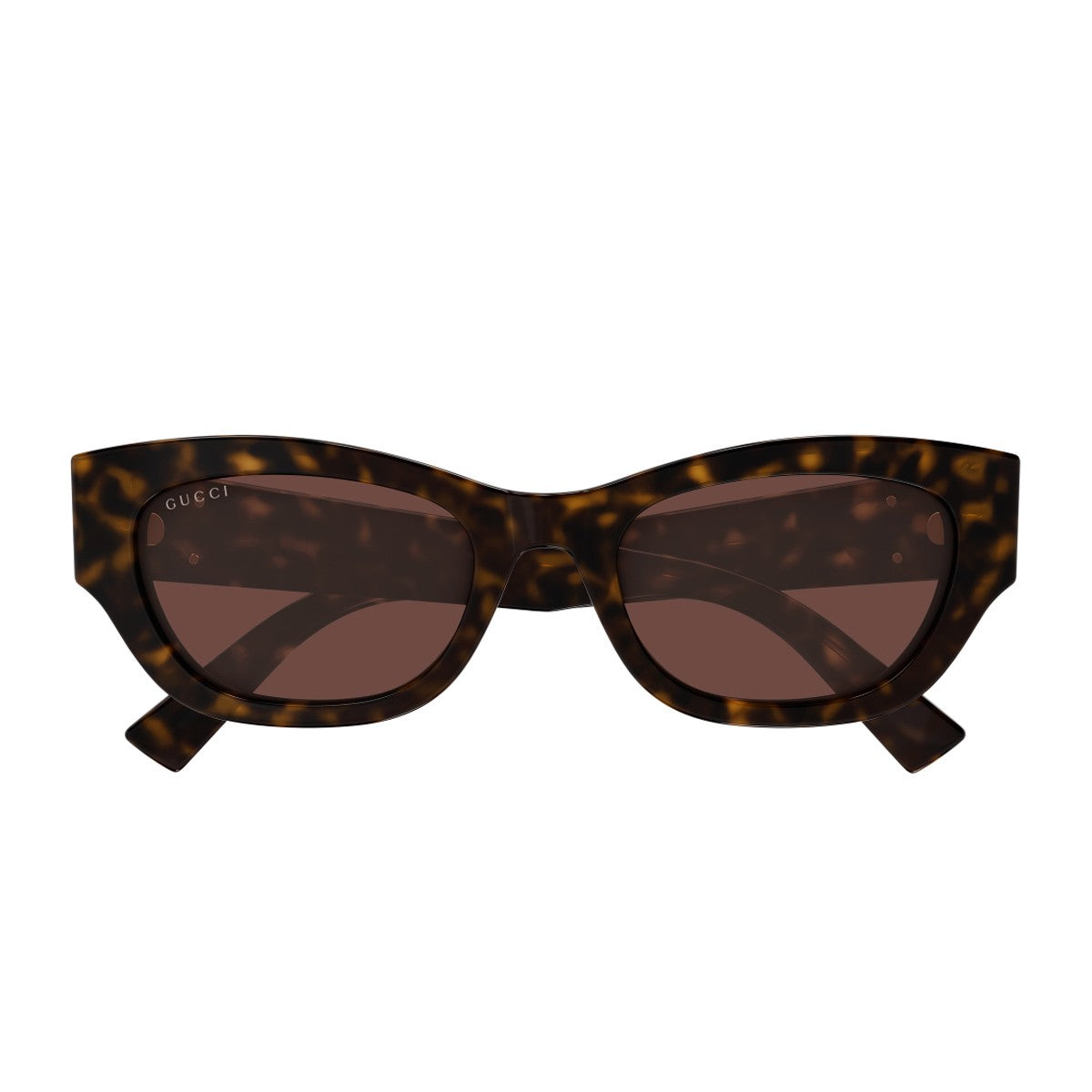 Gucci Gg1954sa Linea Emblem Havana Acetato Riciclato Sunglasses