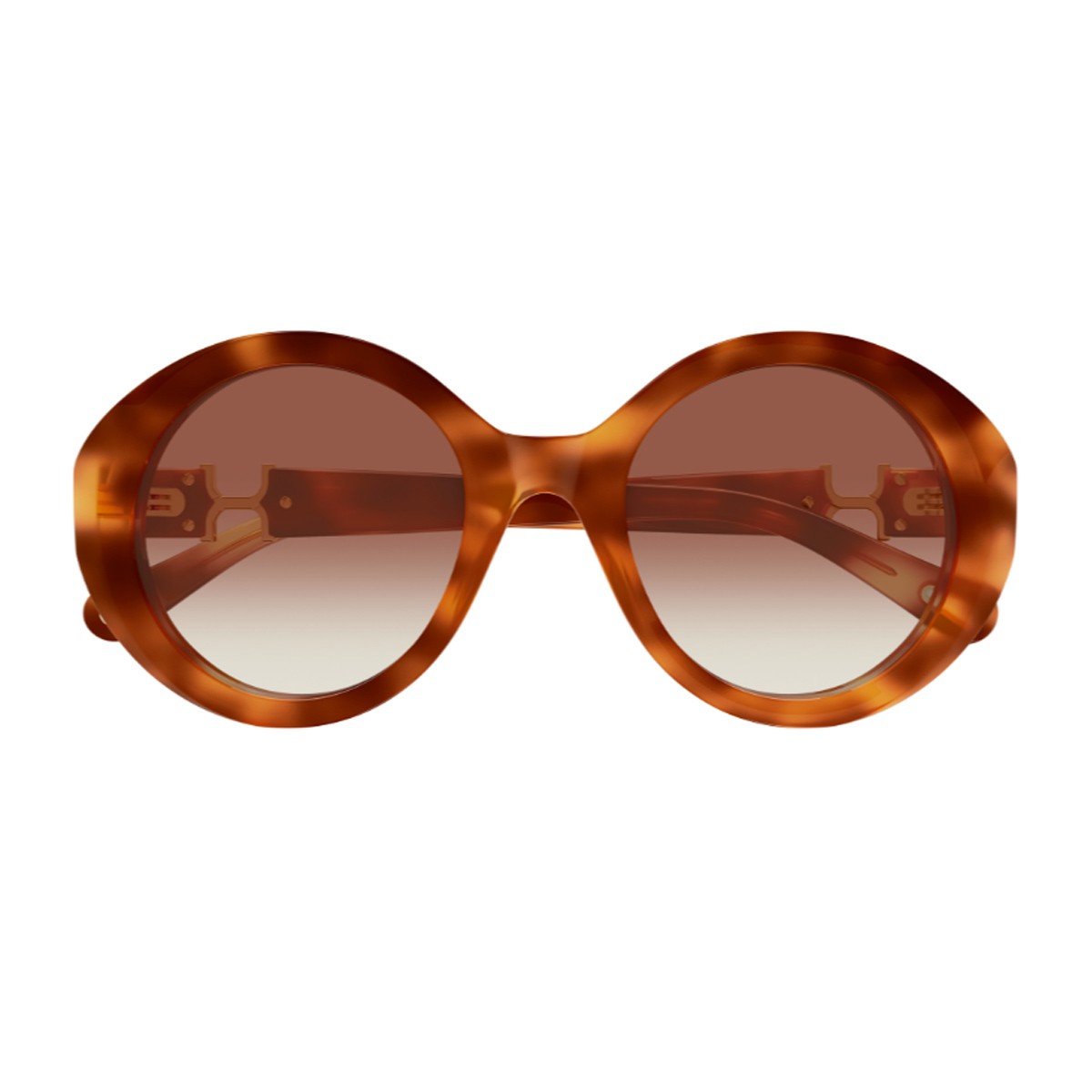 Chloé Ch0332s Marcie-Linea Havana Acetato Riciclato Sunglasses