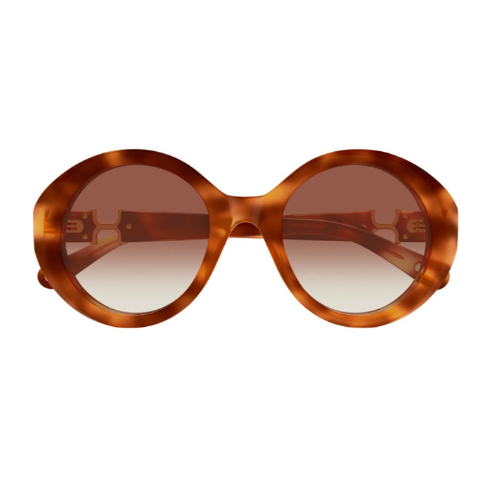 Chloé Ch0332s Marcie-Linea Havana Acetato Riciclato Sunglasses