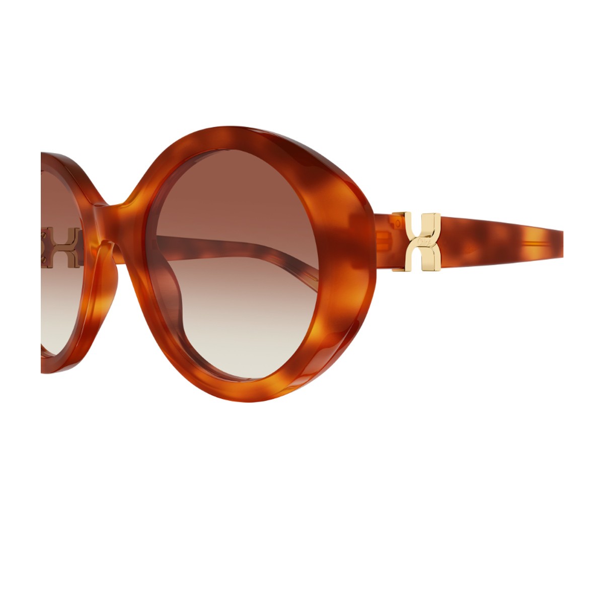 Chloé Ch0332s Marcie-Linea Havana Acetato Riciclato Sunglasses