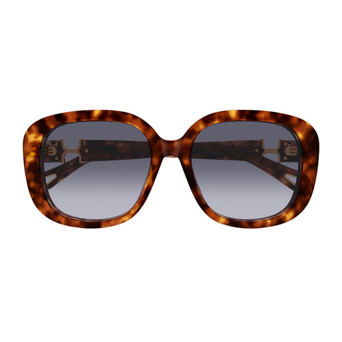 Chloé Ch0303sk Marcie-Linea Havana Acetato Riciclato Sunglasses