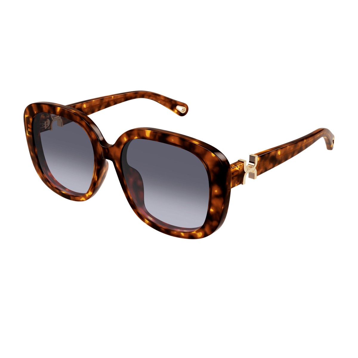 Chloé Ch0303sk Marcie-Linea Havana Acetato Riciclato Sunglasses