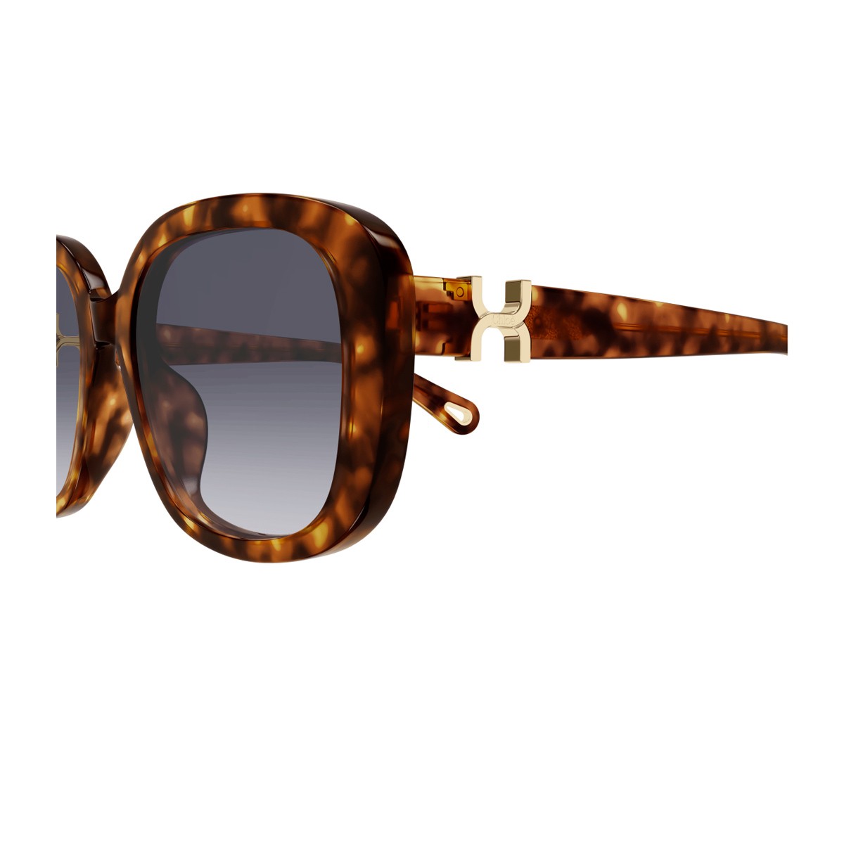 Chloé Ch0303sk Marcie-Linea Havana Acetato Riciclato Sunglasses