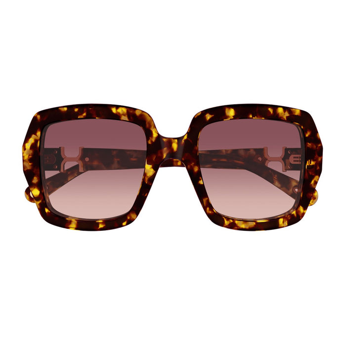 Chloé Ch0301s Marcie-Linea Havana Acetato Riciclato Sunglasses