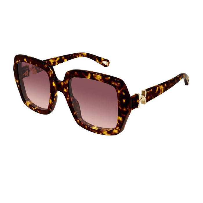 Chloé Ch0301s Marcie-Linea Havana Acetato Riciclato Sunglasses