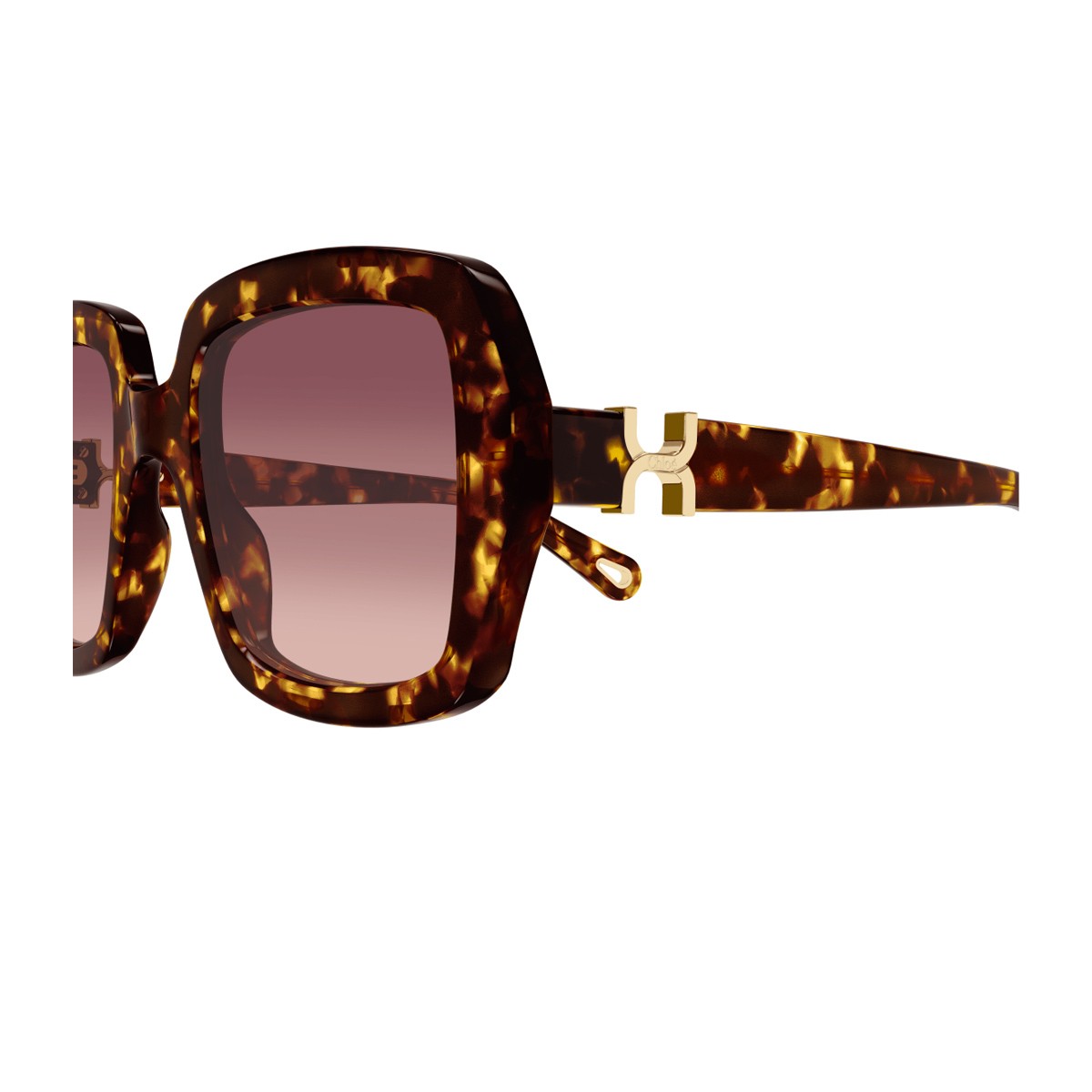 Chloé Ch0301s Marcie-Linea Havana Acetato Riciclato Sunglasses