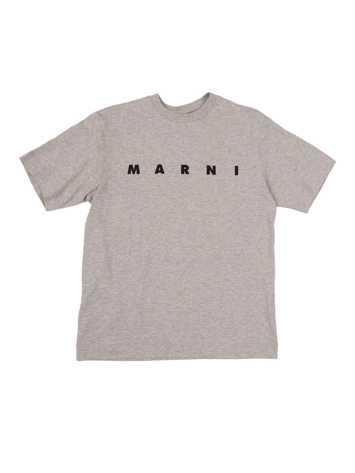 T-Shirts Grey Cotton Short Sleeves T-shirt